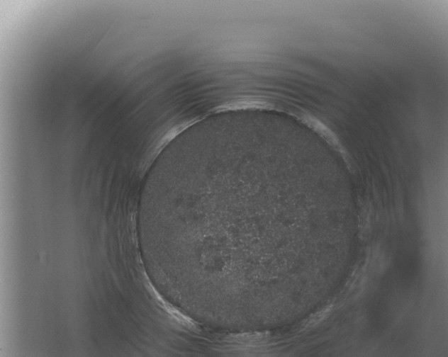 X0000062630937200512231009