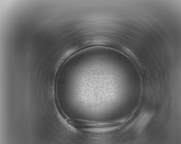 X0000062630938200512231010