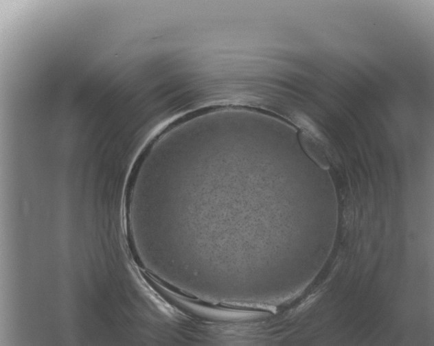 X0000062630940200512231010