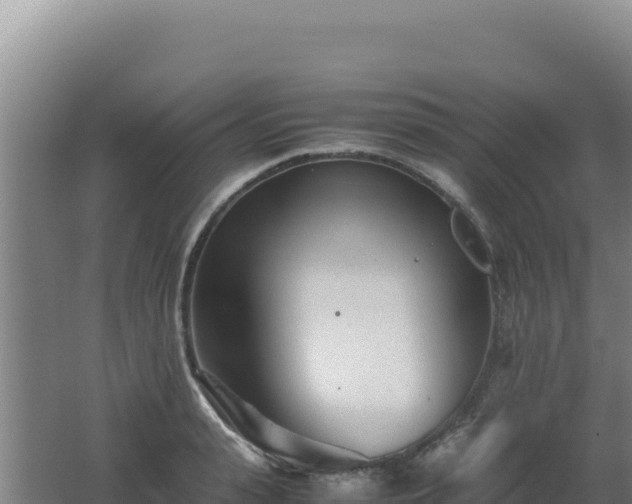 X0000062630943200512231010