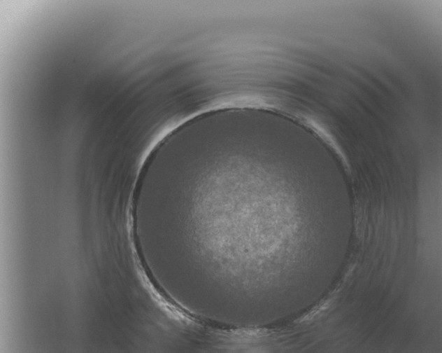 X0000062630944200512231010