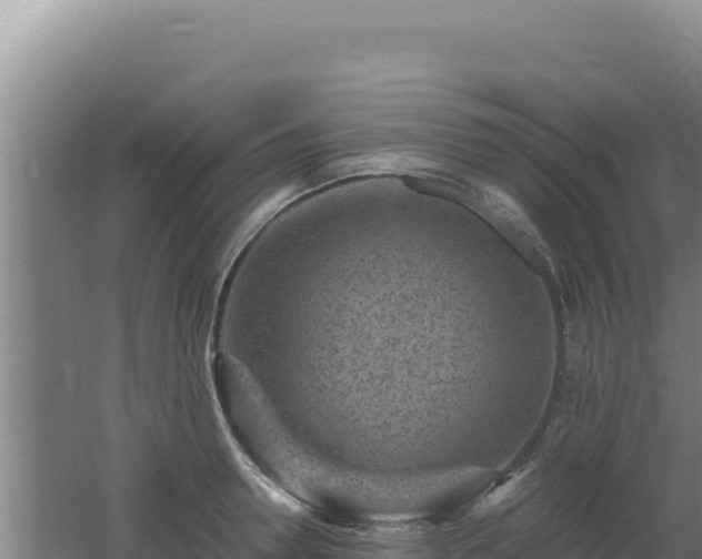 X0000062630946200512231010