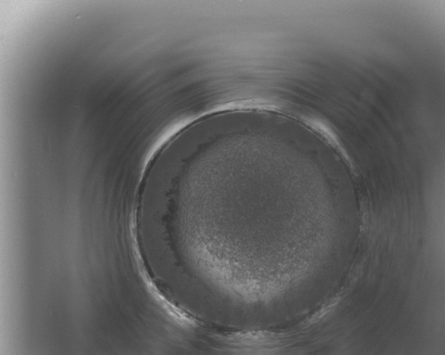 X0000062630952200512231010