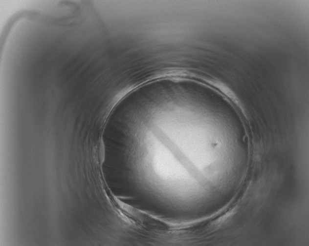 X0000062630953200512231010