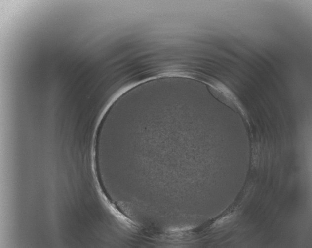 X0000062630955200512231010