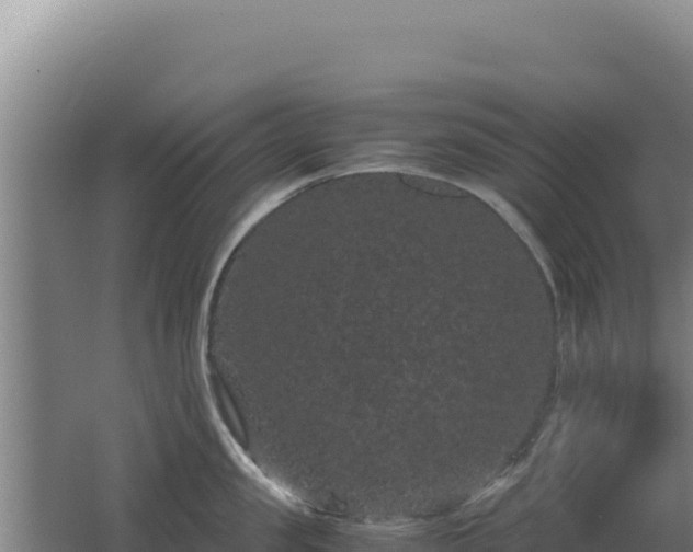 X0000062630957200512231010