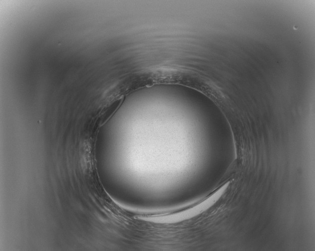 X0000062630964200512231009