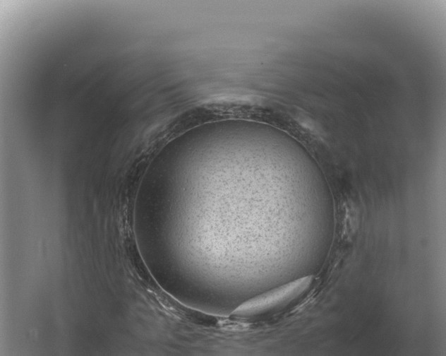 X0000062630965200512231009