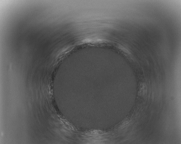 X0000062630966200512231009