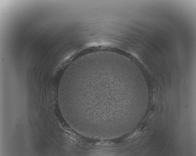 X0000062630967200512231009