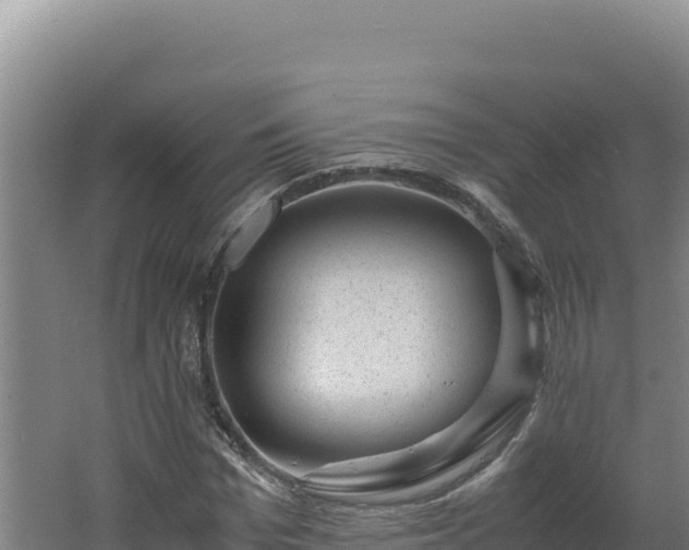 X0000062630969200512231009