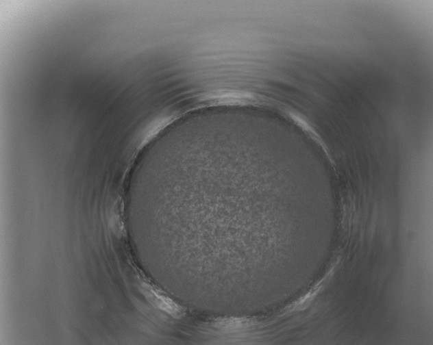 X0000062630970200512231009