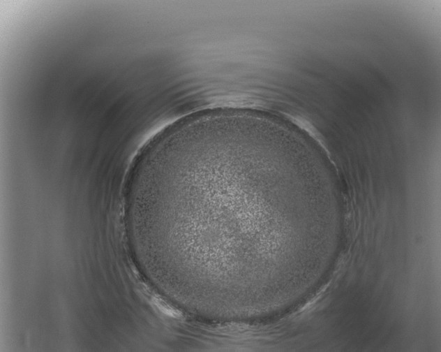 X0000062630971200512231009