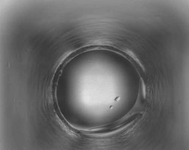 X0000062630972200512231009