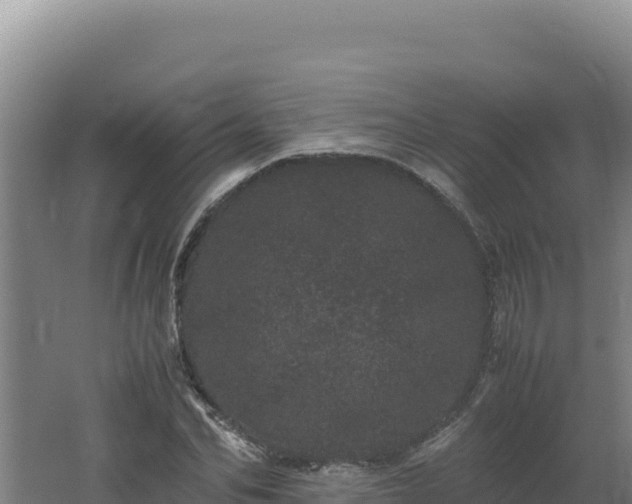 X0000062630974200512231009