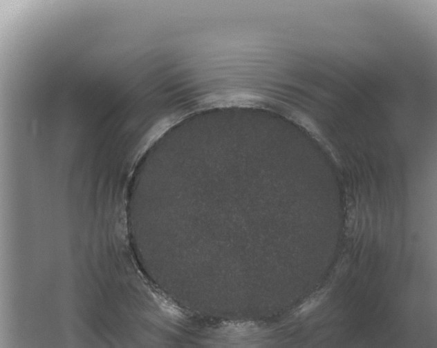 X0000062630978200512231009