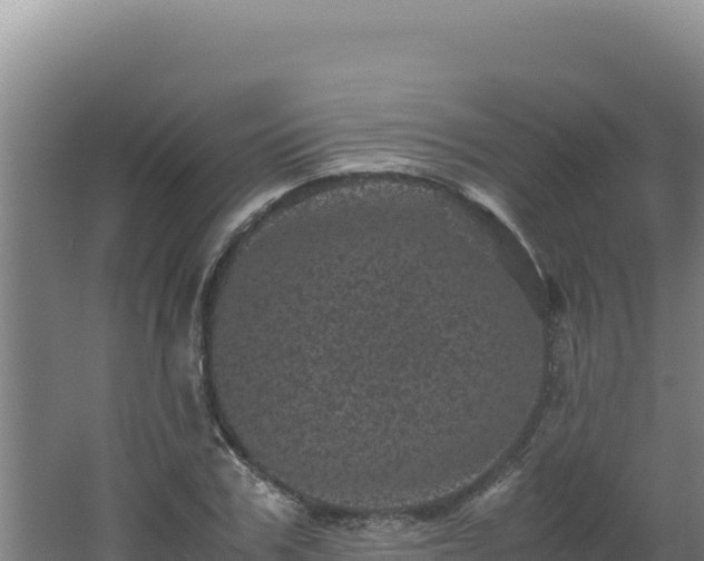 X0000062630979200512231009