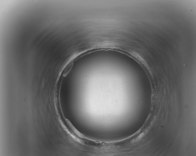 X0000062630989200512231009