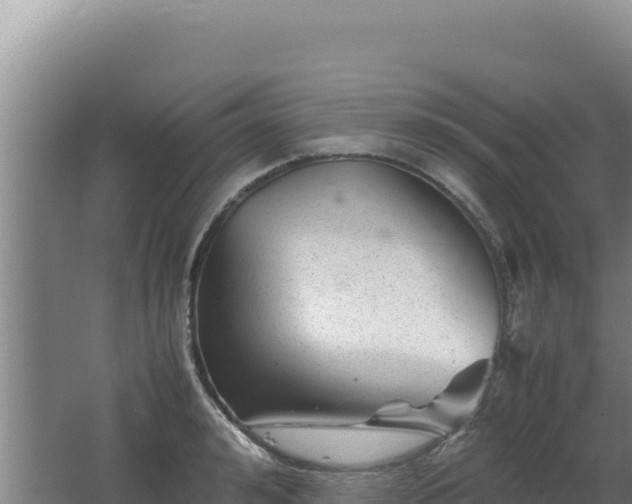 X0000062630992200512231009