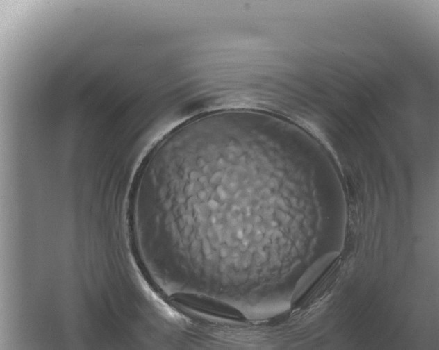 X0000062630995200512231008