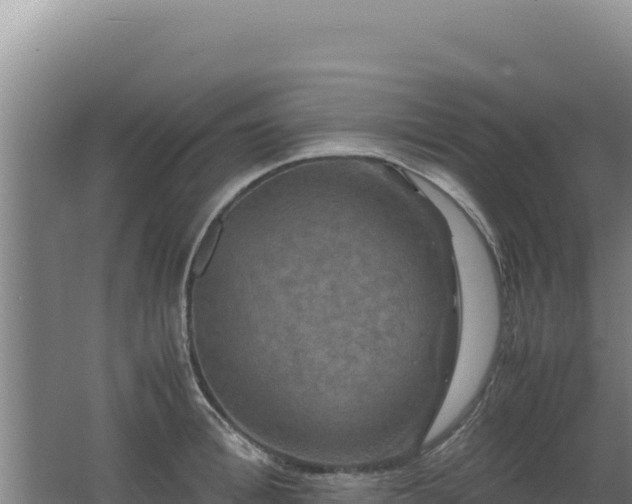 X0000062630996200512231008