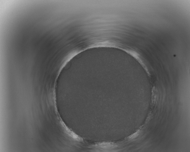 X0000062630998200512231008