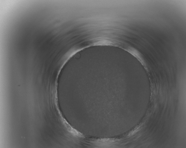 X0000062631000200512231008