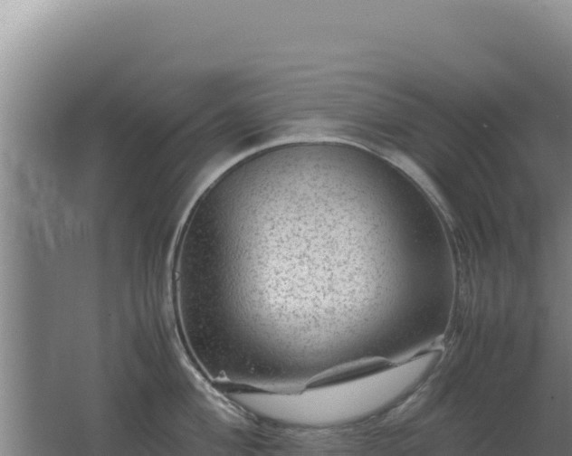 X0000062631004200512231008