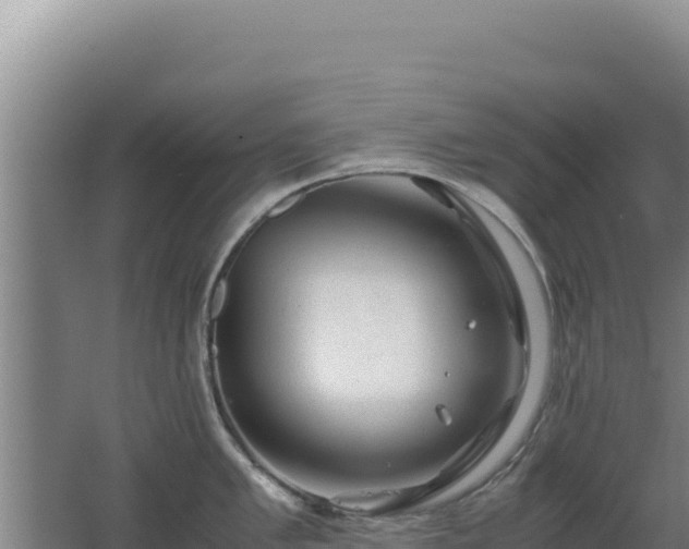 X0000062631005200512231008