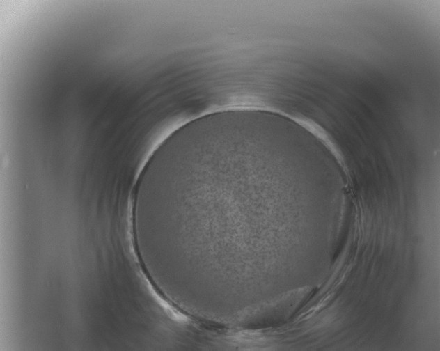 X0000062631006200512231008