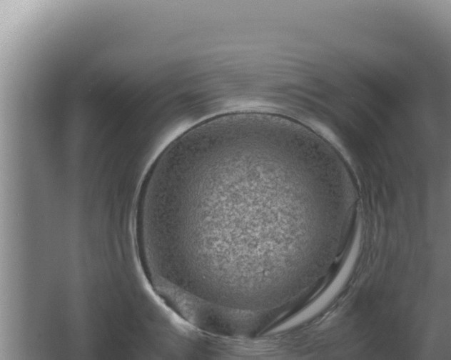 X0000062631007200512231008