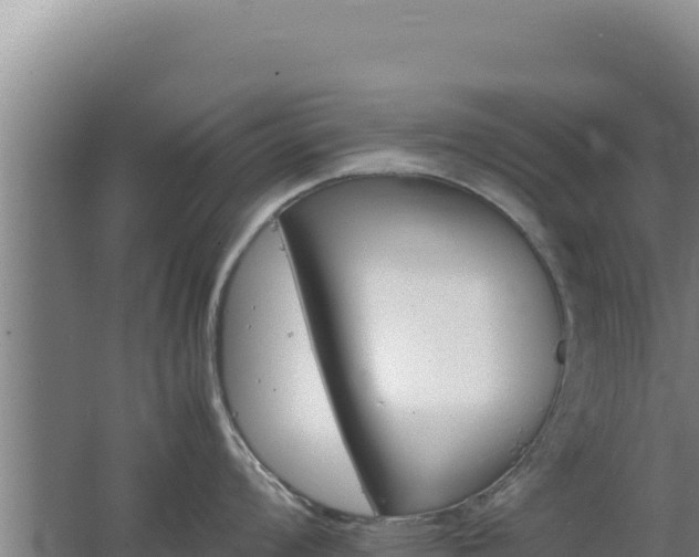 X0000062631008200512231008