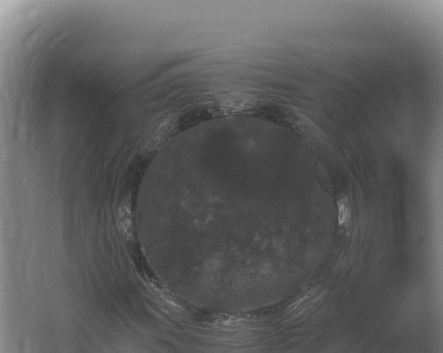 X0000062631011200512231007