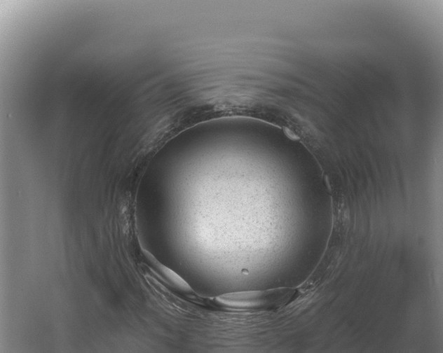 X0000062631012200512231007