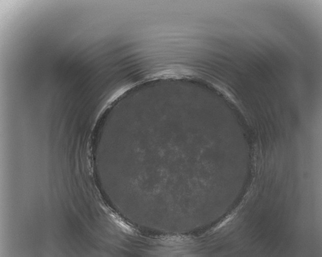 X0000062631018200512231007