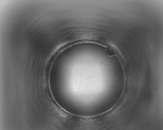 X0000062631019200512231007