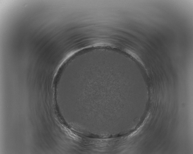 X0000062631021200512231008