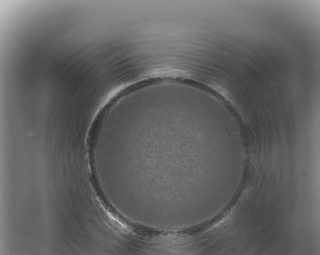 X0000062631022200512231008