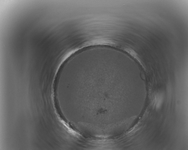 X0000062631024200512231008