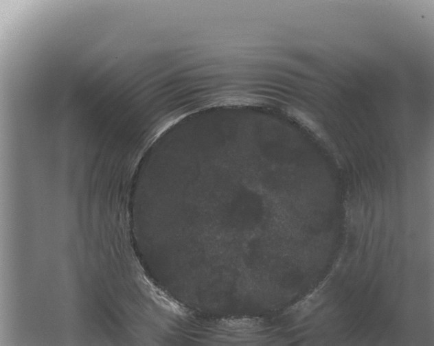 X0000062631025200512231008