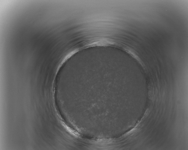 X0000062631026200512231008