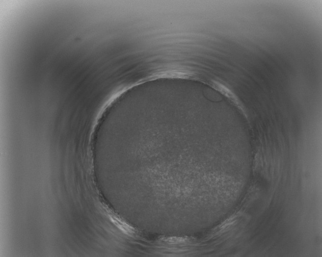 X0000062631027200512231008