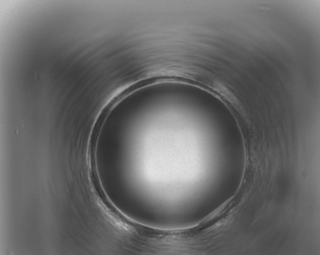 X0000062631028200512231008