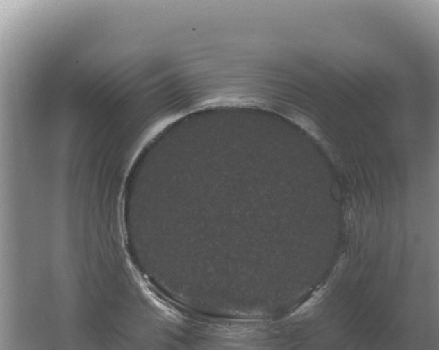 X0000062631030200512231008