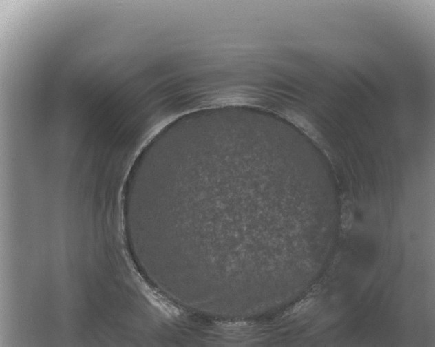 X0000062631031200512231008