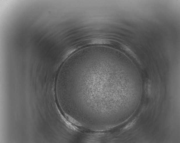 X0000062631033200512231008