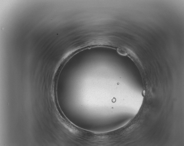 X0000062631035200512231008