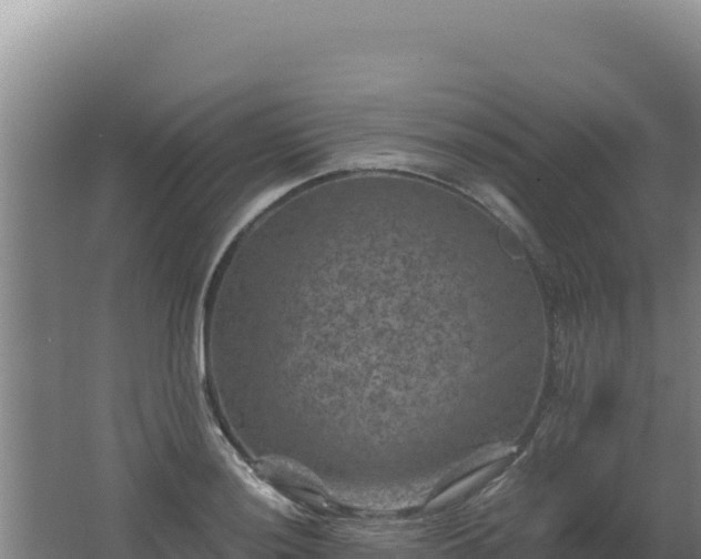 X0000062631036200512231008