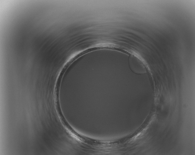 X0000062631037200512231008