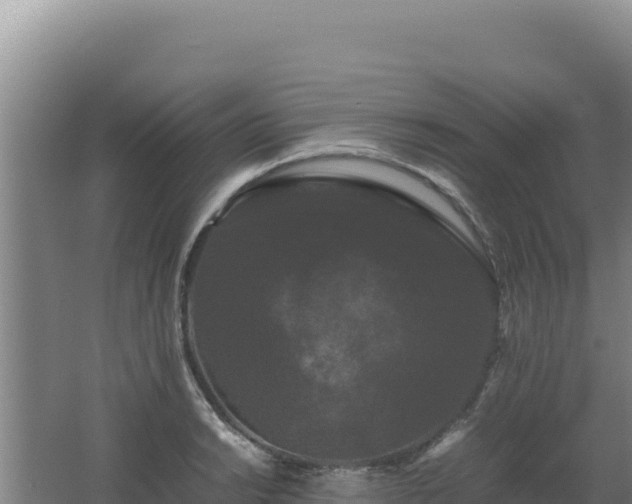 X0000062631038200512231008